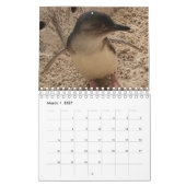 2020 Little Penguin Calendar Kalender (Mar 2027)