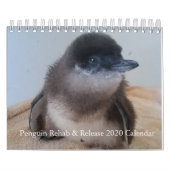 2020 Little Penguin Calendar Kalender (Hoes)