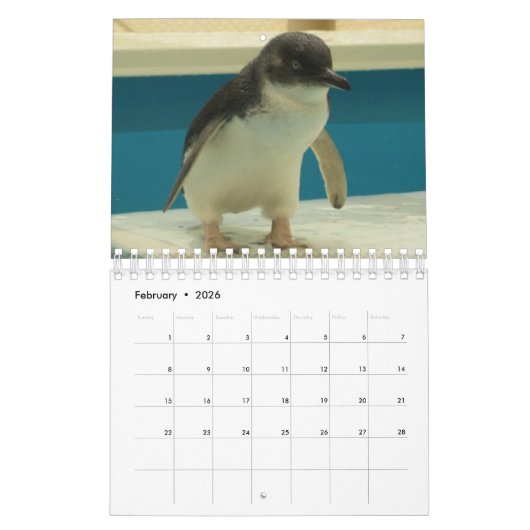 2020 Little Penguin Calendar Kalender (Feb 2026)