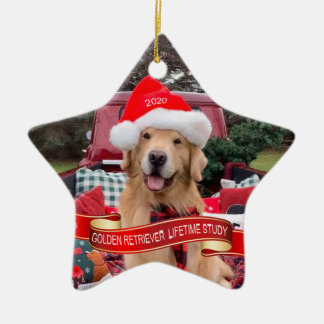 2020 Star-keramisch Ornament