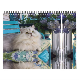 2020 Team iCat Forever Agenda Kalender