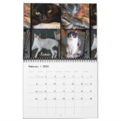 2020 Team iCat Forever Agenda Kalender (Feb 2026)
