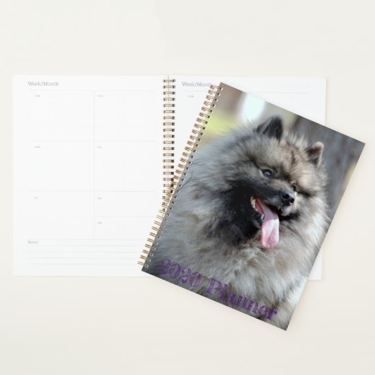 2020 Trumpet-planner Planner (Display)