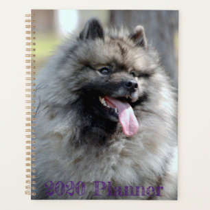 2020 Trumpet-planner Planner
