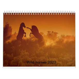 2020 wild mustang kalander kalender