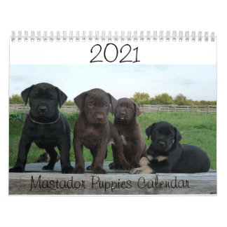 2021 Agenda van de Puppies van Mastador Kalender