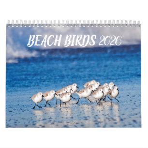 2021 Beach Birds Photography Kalender
