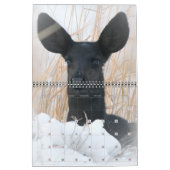 2021 beter aangepaste agenda kalender (Jan 2027)