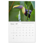 2021 ~ Calendrier de l'année des oiseaux (Feb 2027)