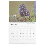 2021 ~ Calendrier de l'année des oiseaux (Mar 2027)