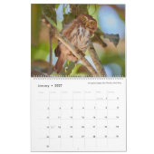 2021 ~ Calendrier de l'année des oiseaux (Jan 2027)
