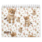 2021 Calendrier Kittens Cats (Protection)