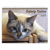 2021 Catnip Cuties Katten en Kittens Kalender (Hoes)