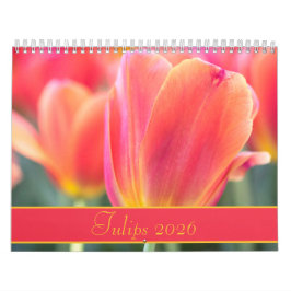 2021 Colorful Tulips Photography Kalender