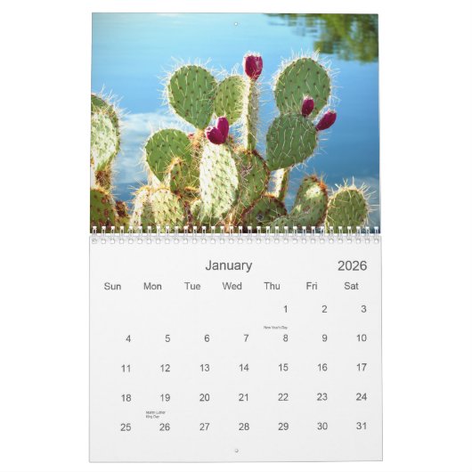 2021 Desert Beauty Kalender (Jan 2026)