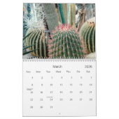 2021 Desert Beauty Kalender (Mar 2026)
