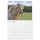 2021 Equine-fotokalender Kalender (Mar 2026)