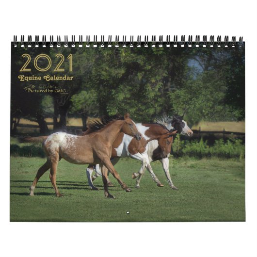 2021 Equine-fotokalender Kalender (Hoes)