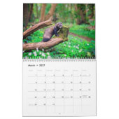 2021 Ferret Calendar Kalender (Mar 2027)