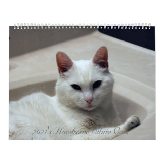 2021: Handsome White Cats Kalender