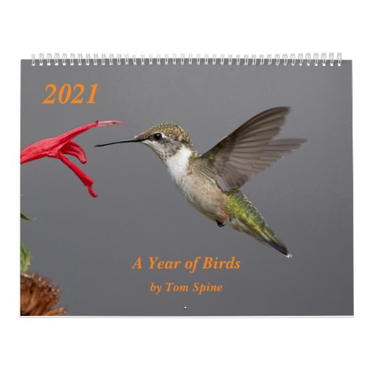 2021 ~ Jaar van de vogelkalender Kalender (Hoes)
