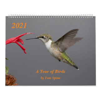 2021 ~ Jaar van de vogelkalender Kalender