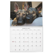 2021 Jade & Jasper the Sable GSD's Calendar Kalender (Mar 2027)