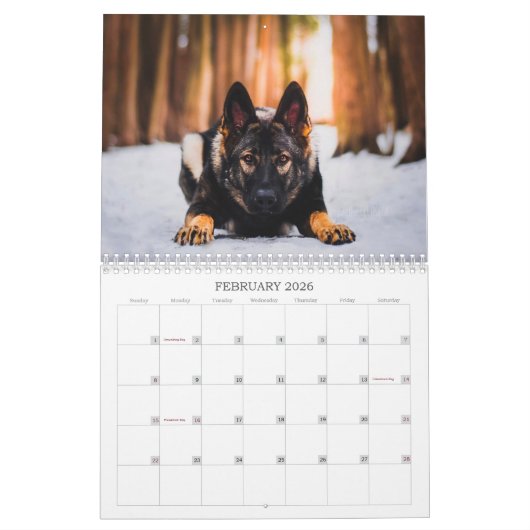 2021 Jade & Jasper the Sable GSD's Calendar Kalender (Feb 2026)