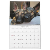 2021 Jade & Jasper the Sable GSD's Calendar Kalender (Mar 2026)