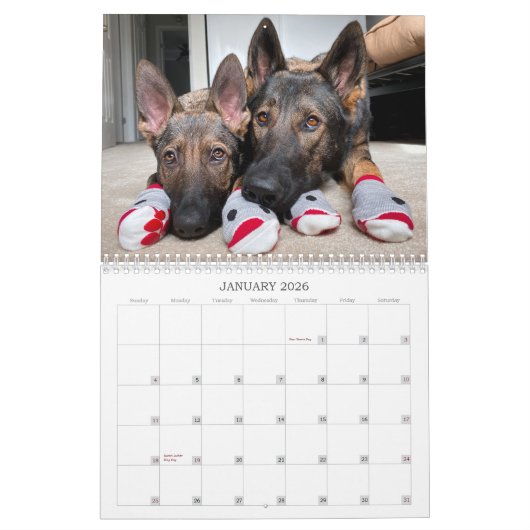 2021 Jade & Jasper the Sable GSD's Calendar Kalender (Jan 2026)