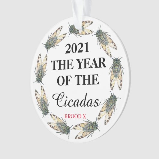 2021 L'ANNÉE DES Cicadas et Brood X (devant)