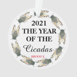 2021 L'ANNÉE DES Cicadas et Brood X
