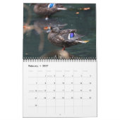 2021 Mallards Kalender (Feb 2027)