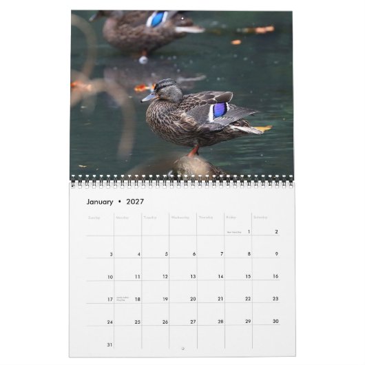 2021 Mallards Kalender (Jan 2027)
