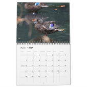 2021 Mallards Kalender (Mar 2027)