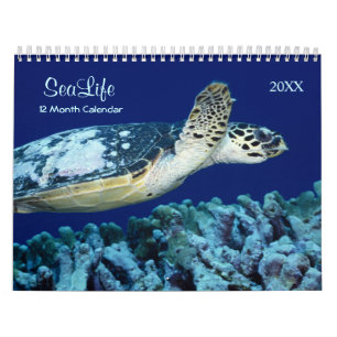 2021 Mariene vis en Zee Levenskalender Kalender