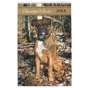 2021 Mooie Boxer Hond Kalender