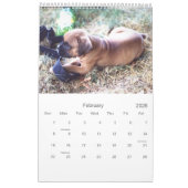 2021 Mooie Boxer Hond Kalender (Feb 2026)