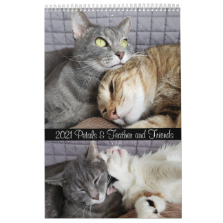 2021 Petals Feather & Friends Calendar Kalender