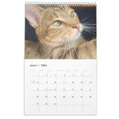 2021 Petals Feather & Friends Calendar Kalender (Mar 2026)