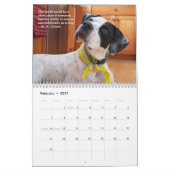2021 Pointers for Life Calendar from PointerRescue Kalender (Feb 2027)