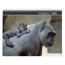 2021 Primaten Wildlife Fotografie Kalender