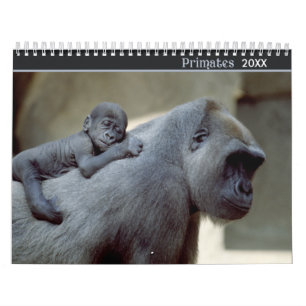 2021 Primaten Wildlife Fotografie Kalender