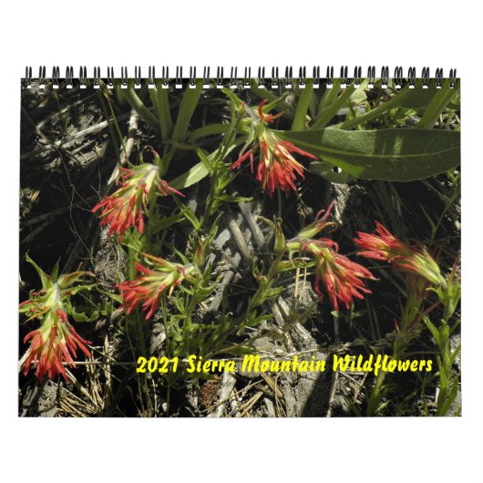2021 Sierra Mountain - kalender voor wilde bloemen (Hoes)