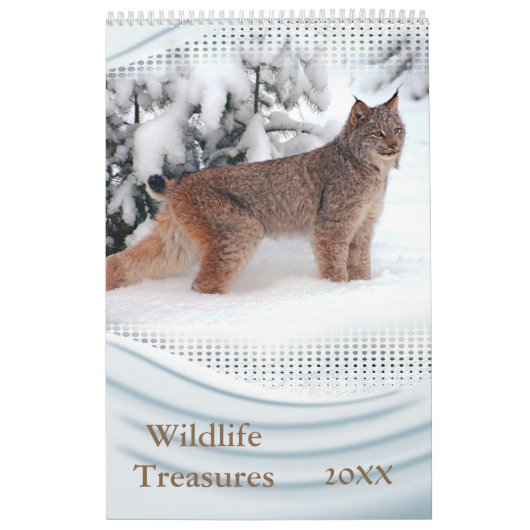2021 Wildlife Treasures Muur Kalender (Hoes)