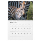 2021 Zebra Liefdeskalender Kalender (Feb 2026)