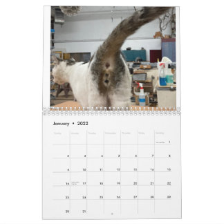 20222 Kat Butt Calendar Kalender