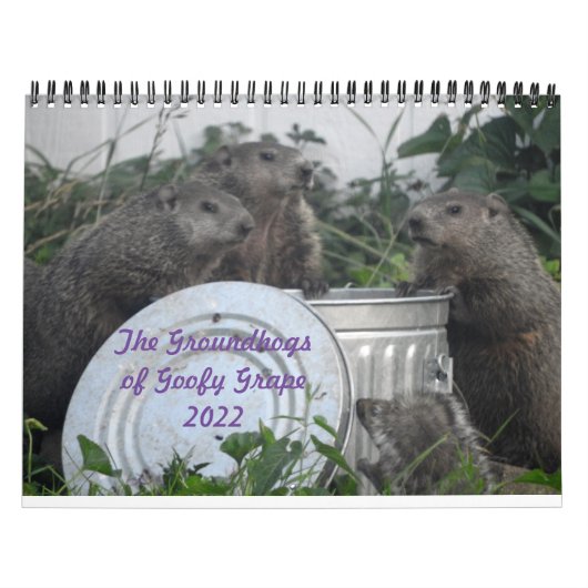 2022 12 mois Calendrier des murs photo de marmotte (Protection)
