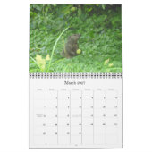 2022 12 mois Calendrier des murs photo de marmotte (Mar 2027)