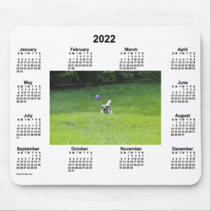 2022-Ball-speelfotokalender van Janz Muismat